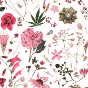 Liberty Fabric Floral Eve B